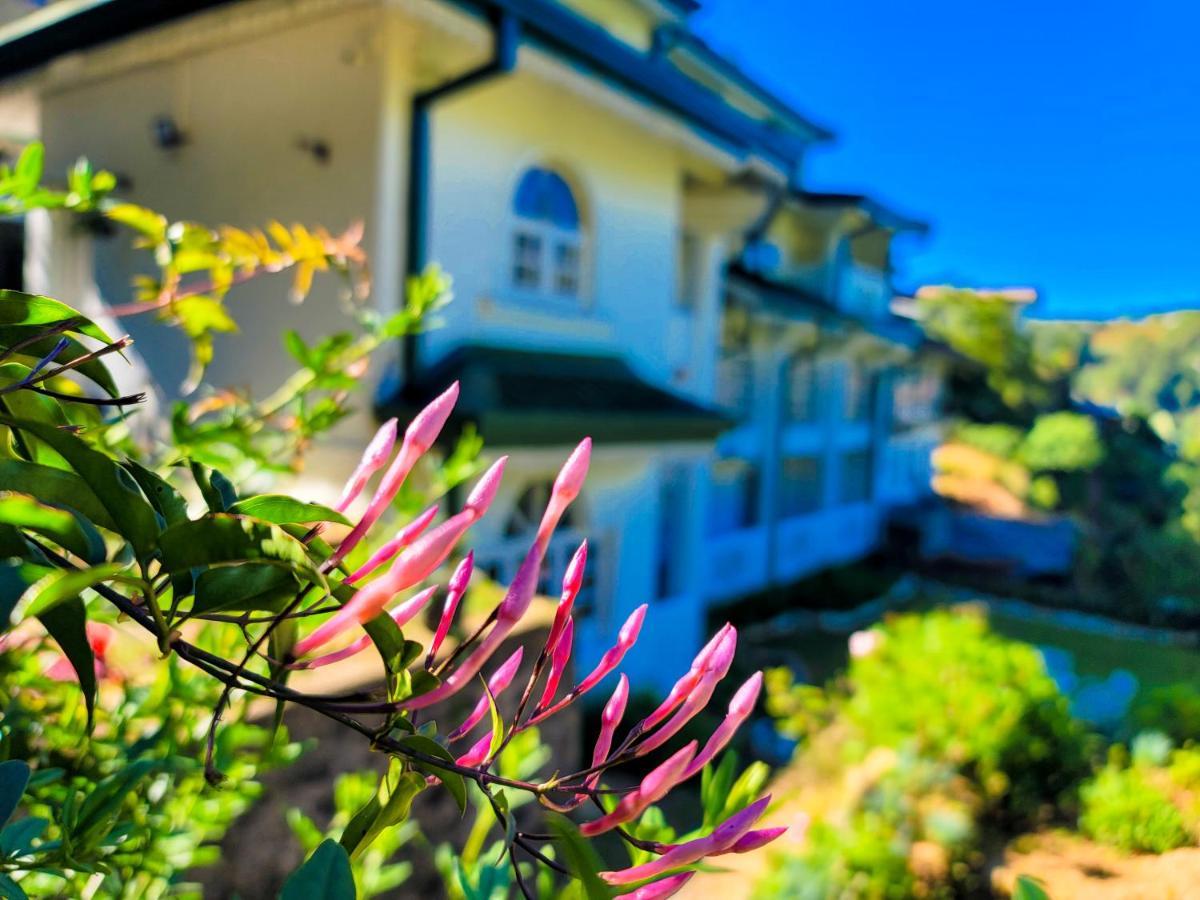 Hotel Notre Dame D'Arcadia Nuwara Eliya Exteriér fotografie