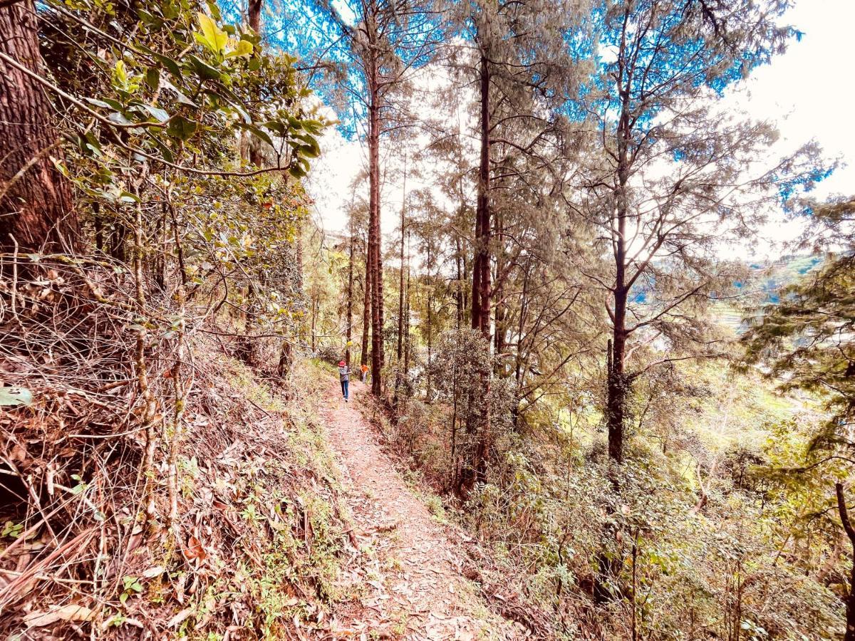 Hotel Notre Dame D'Arcadia Nuwara Eliya Exteriér fotografie